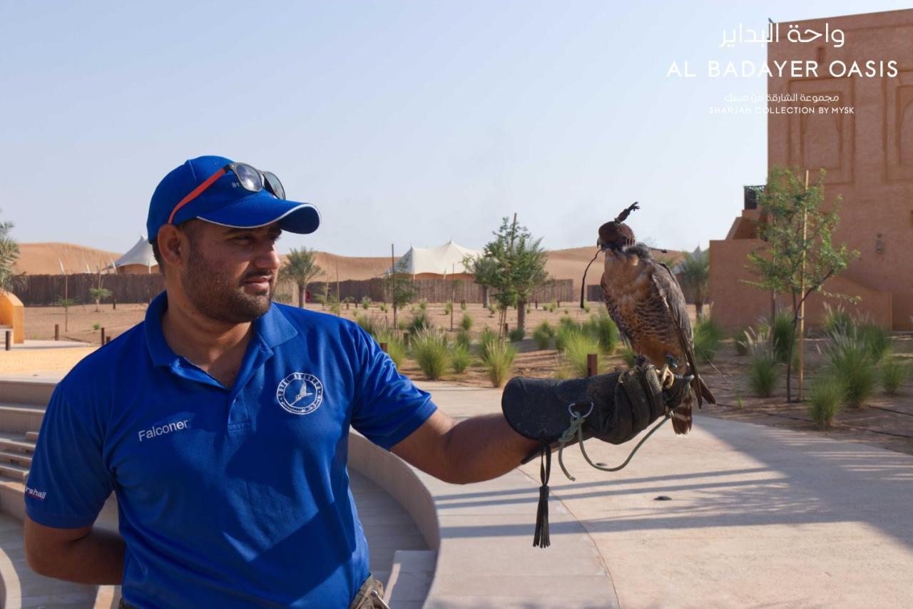 Mysk Al Badayer Retreat Hotel Margham Eksteriør billede Falconry in Al-Jahili Fort, Al-Ahsa, Saudi Arabia